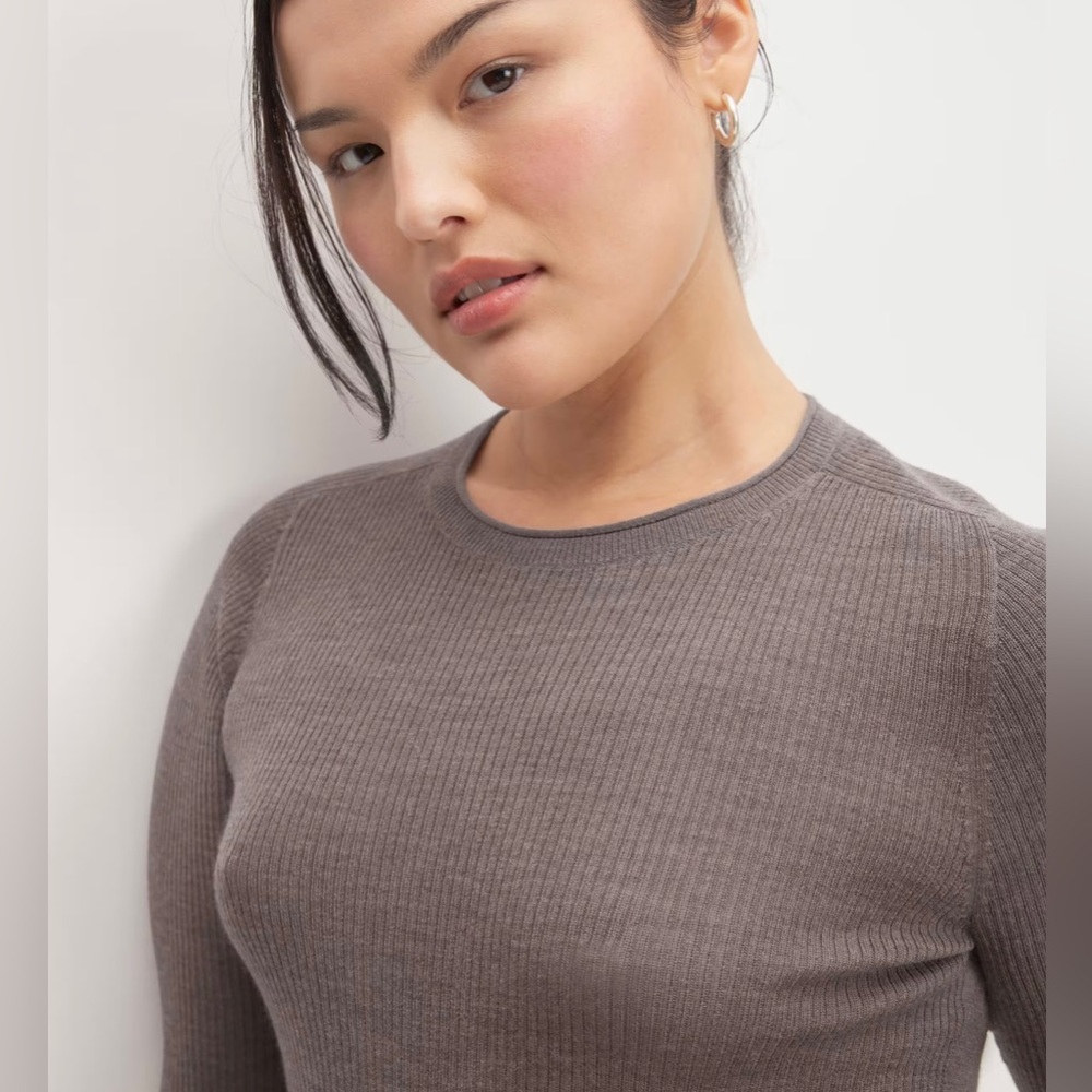 NWT Everlane Ultrafine Merino Ribbed Crew